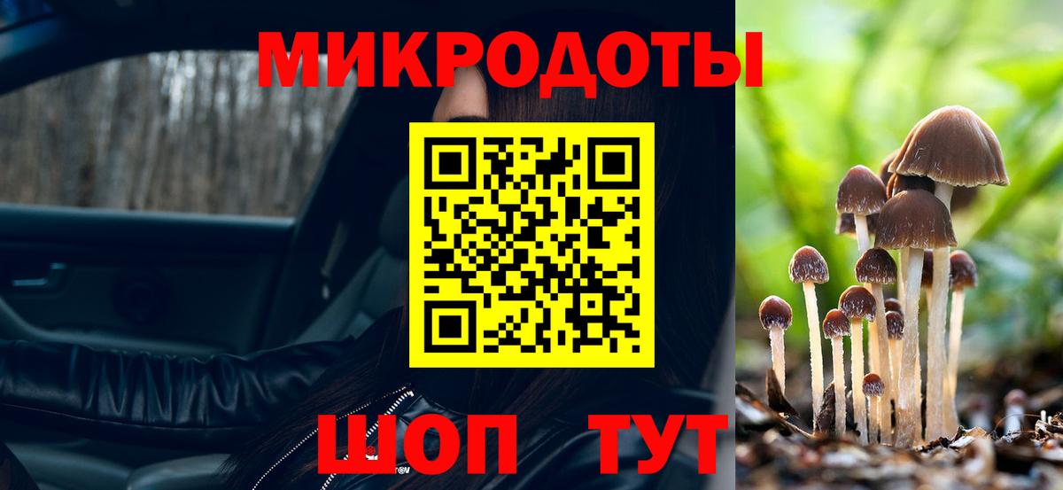 Галлюциногенные грибы Psilocybe Тара
