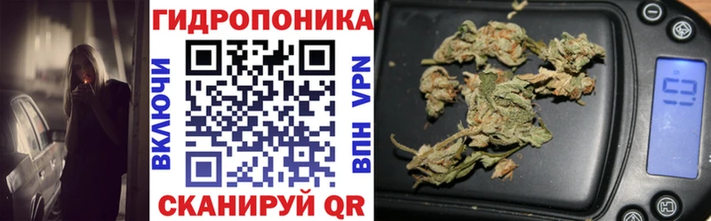 Конопля Bruce Banner закладка Тара